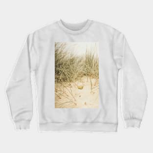 Beachside Chardonney Crewneck Sweatshirt